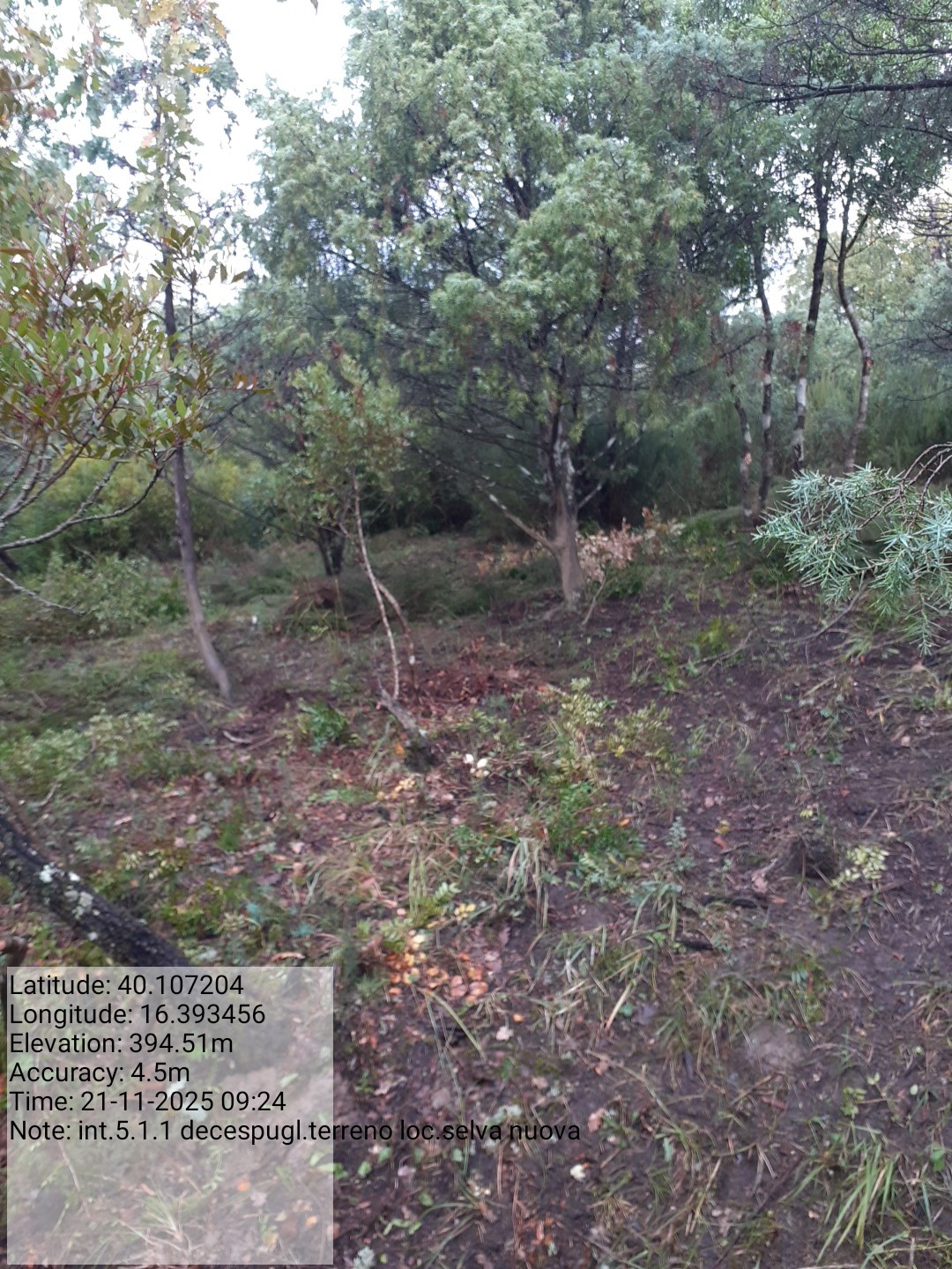 Galleria Fotografica Immagine