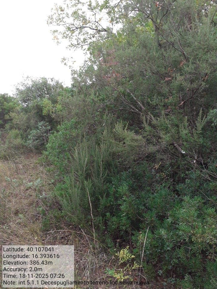 Galleria Fotografica Immagine