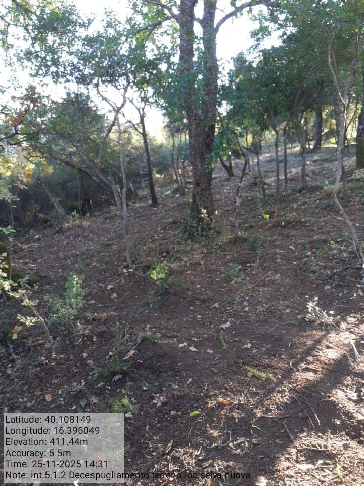 Galleria Fotografica Immagine