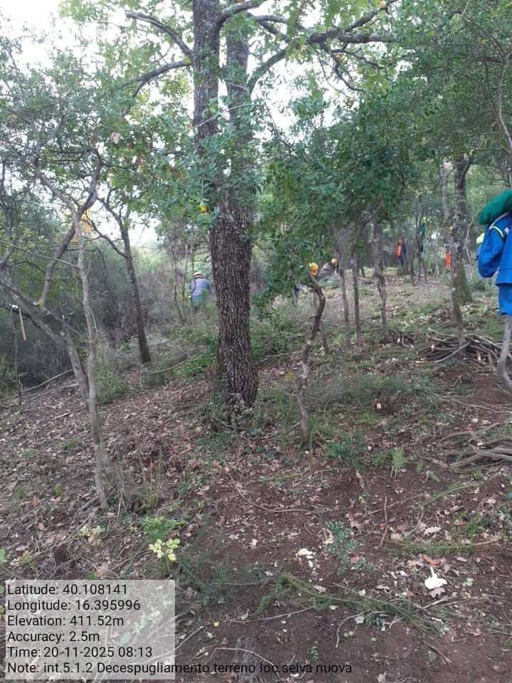 Galleria Fotografica Immagine