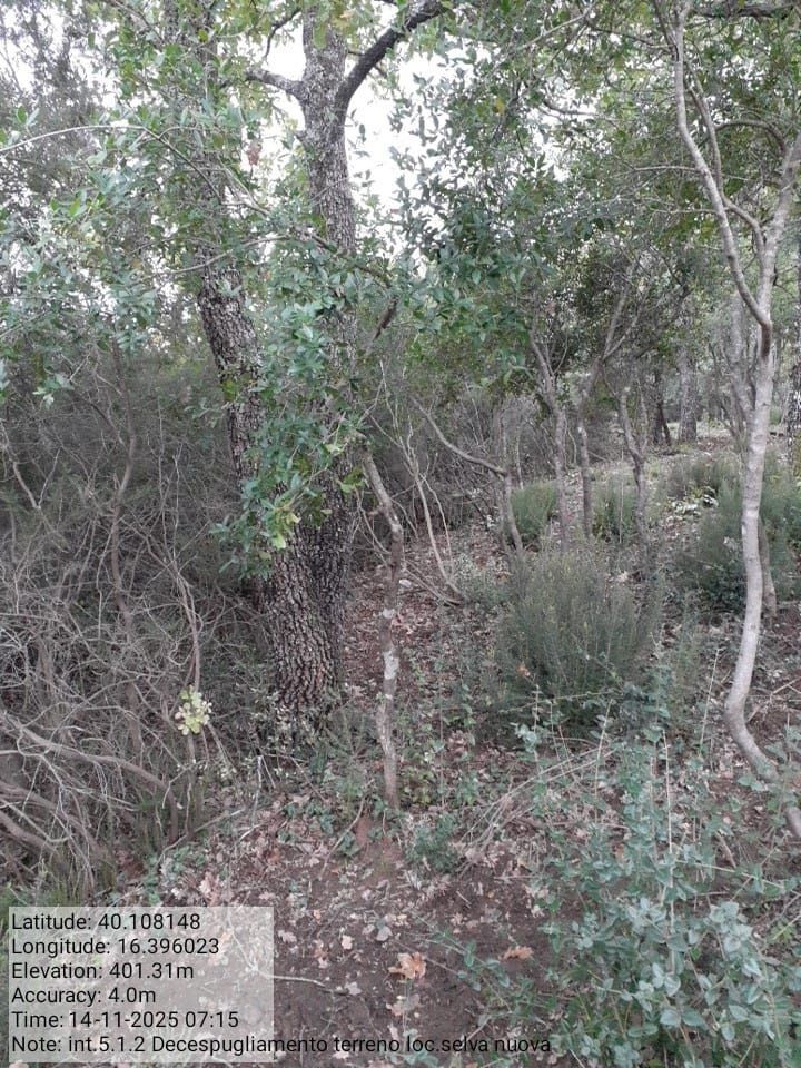 Galleria Fotografica Immagine