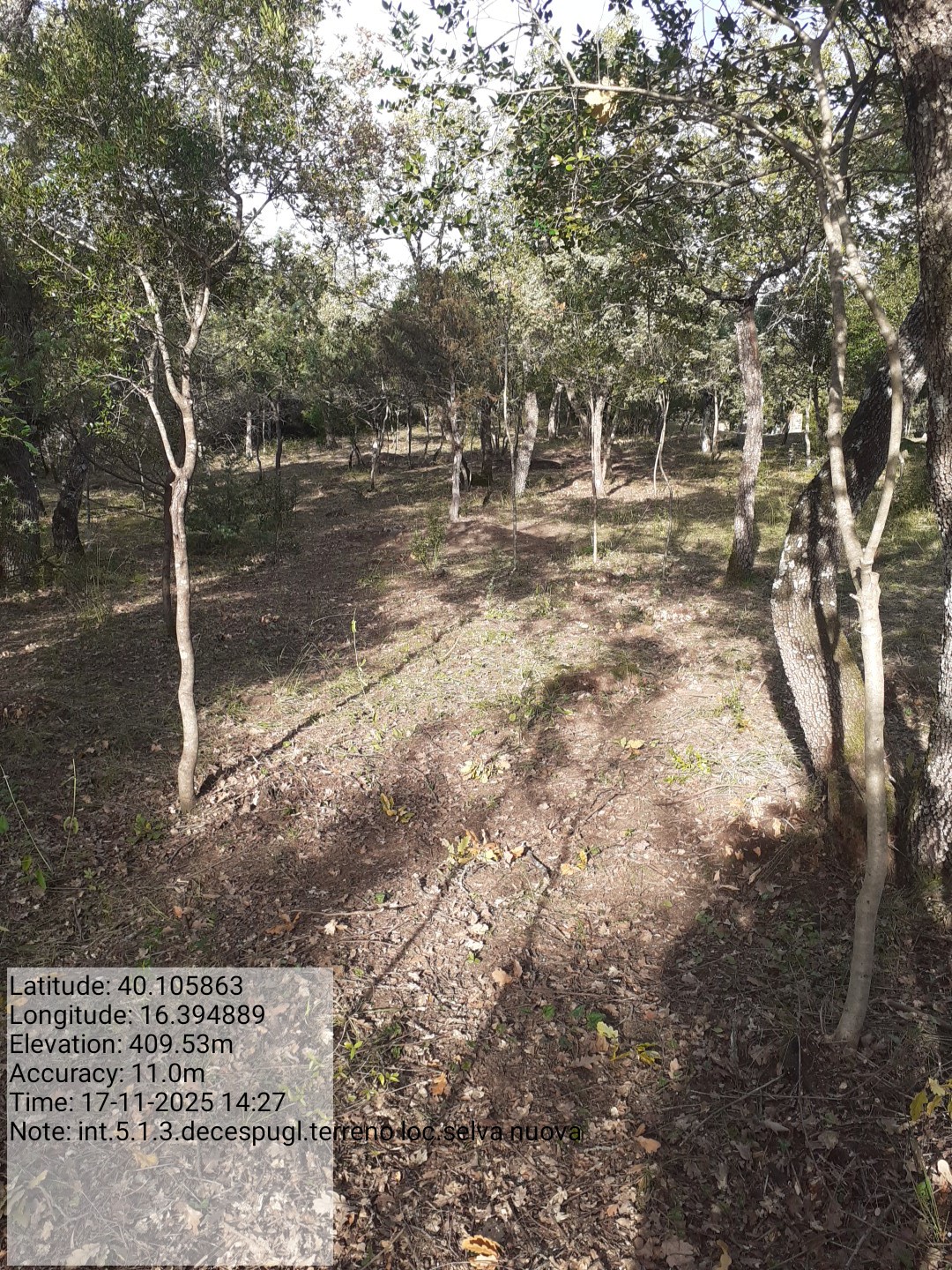 Galleria Fotografica Immagine