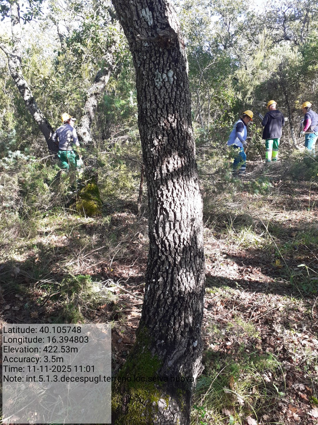 Galleria Fotografica Immagine