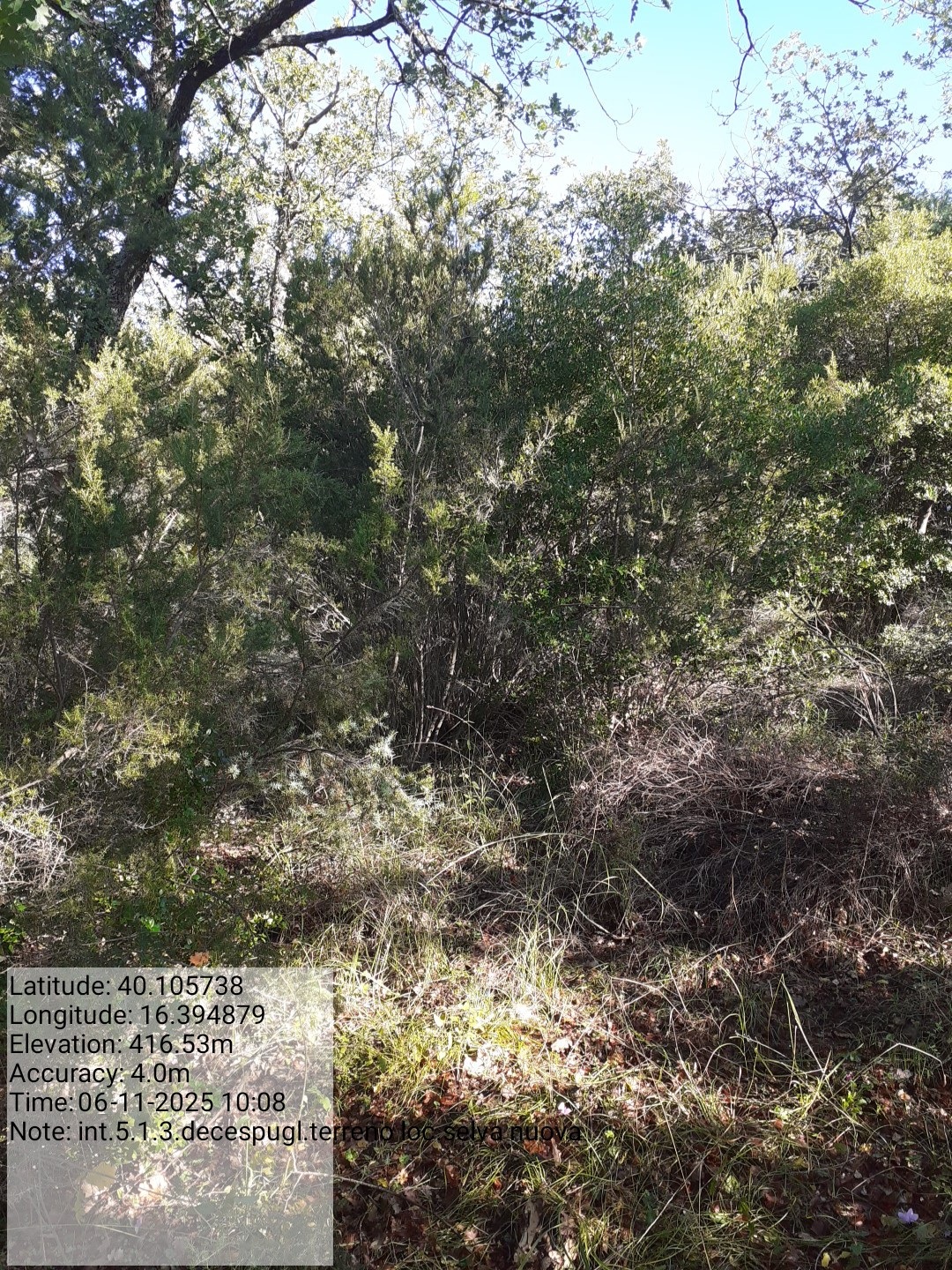 Galleria Fotografica Immagine