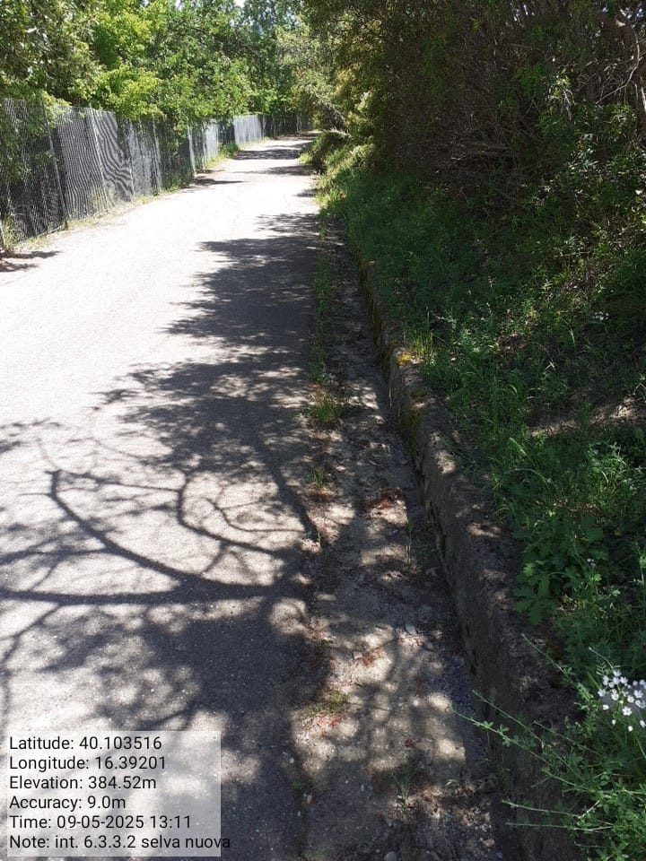 Galleria Fotografica Immagine