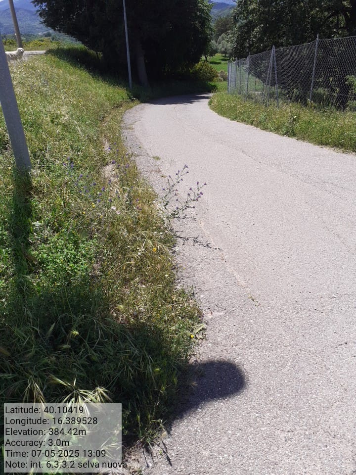 Galleria Fotografica Immagine