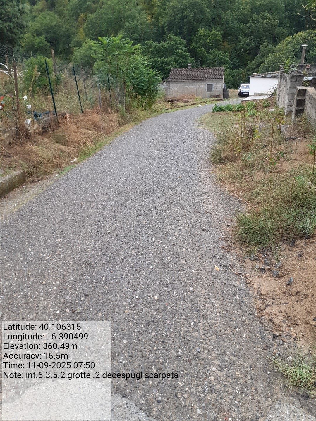 Galleria Fotografica Immagine