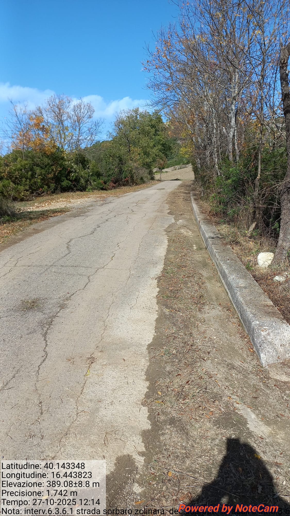 Galleria Fotografica Immagine