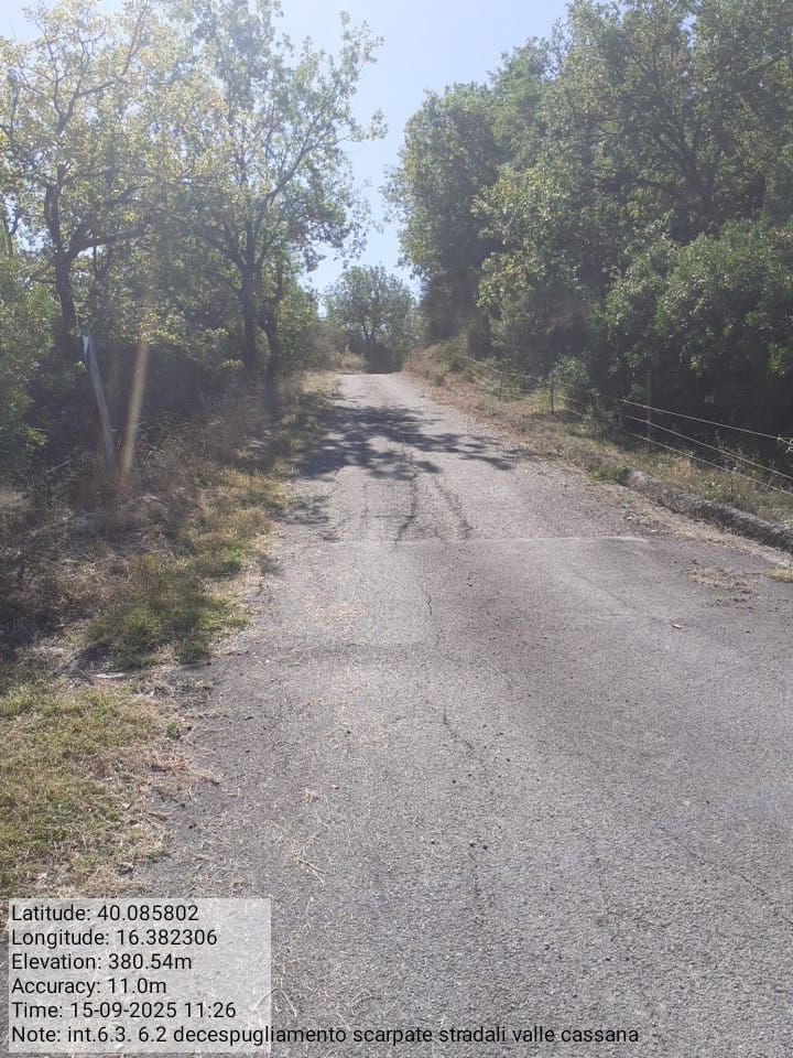 Galleria Fotografica Immagine