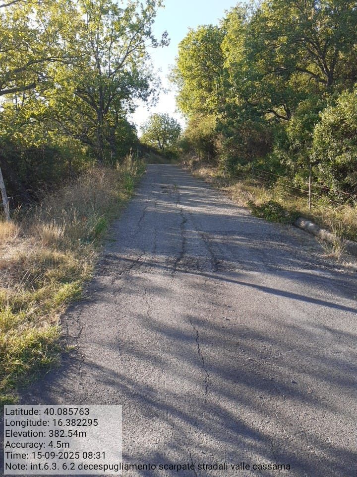 Galleria Fotografica Immagine