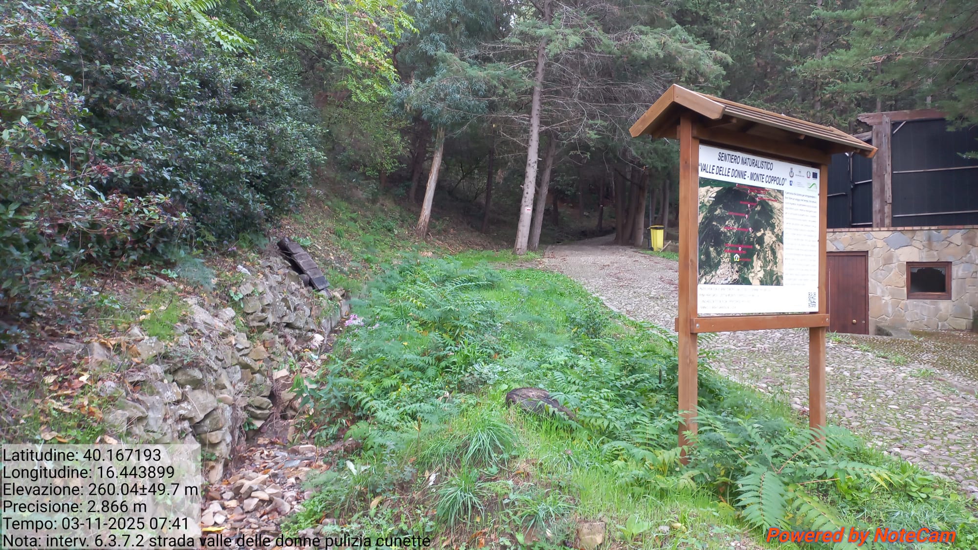 Galleria Fotografica Immagine