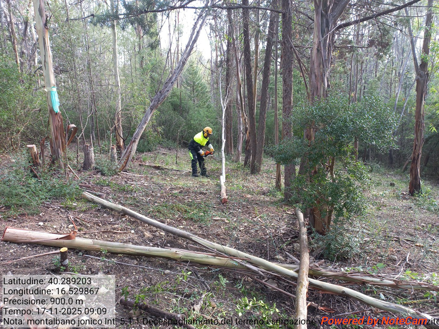 Galleria Fotografica Immagine