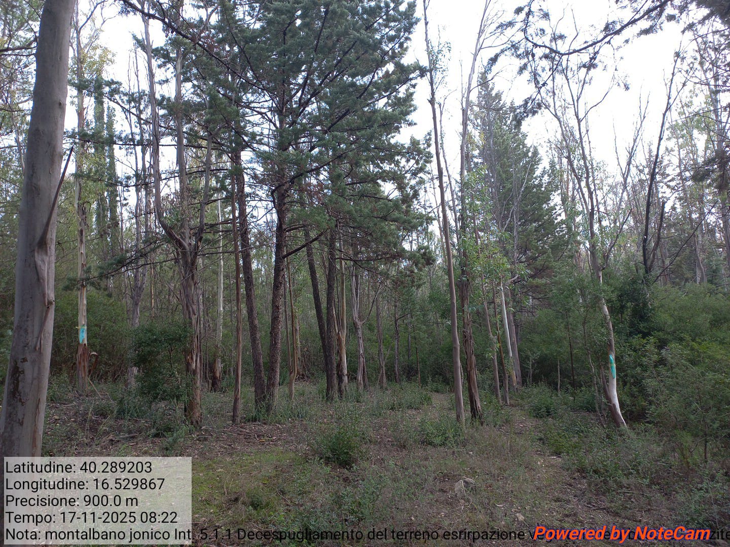 Galleria Fotografica Immagine