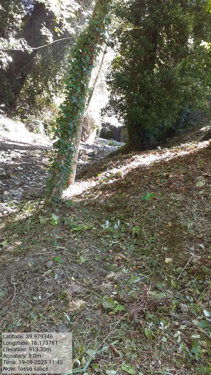 Galleria Fotografica Immagine