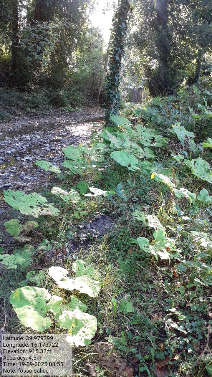 Galleria Fotografica Immagine