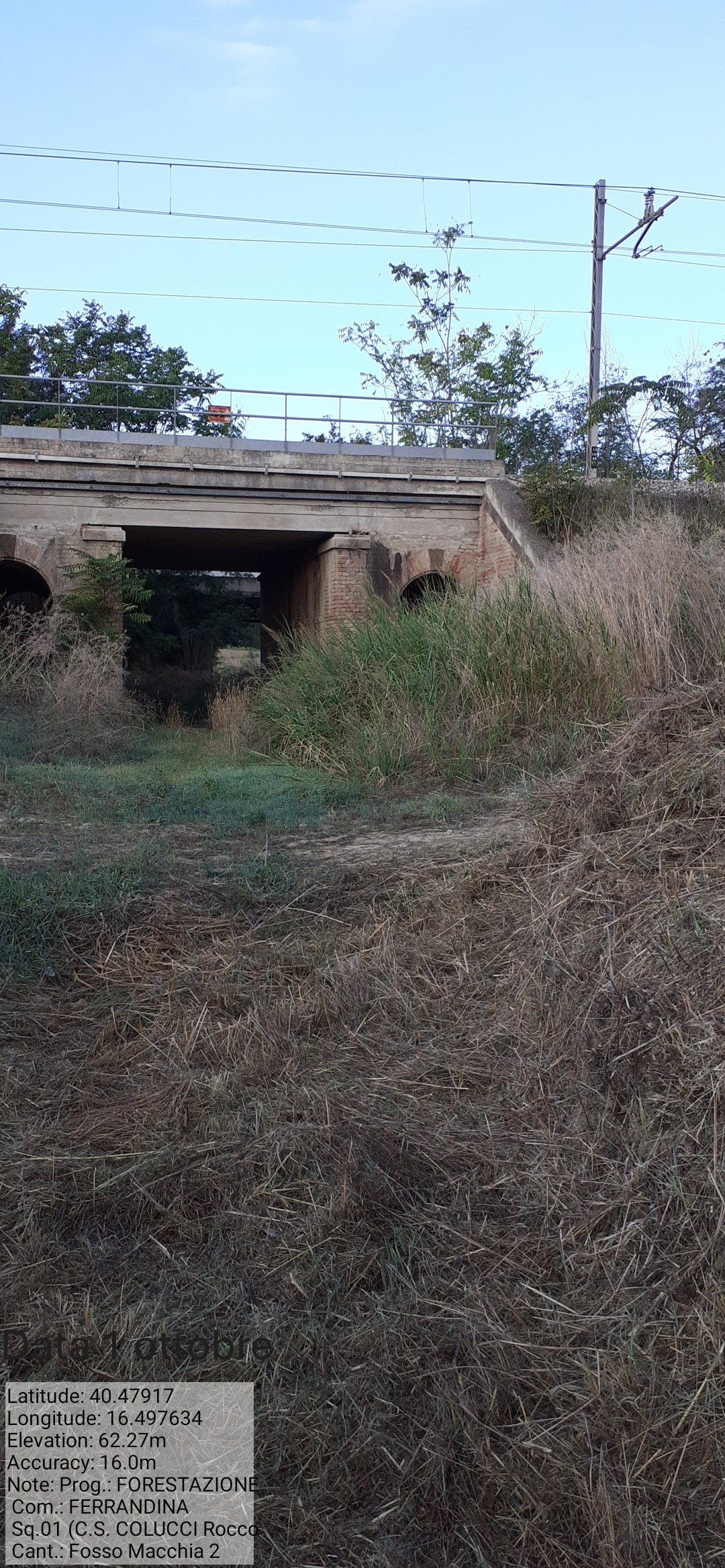 Galleria Fotografica Immagine