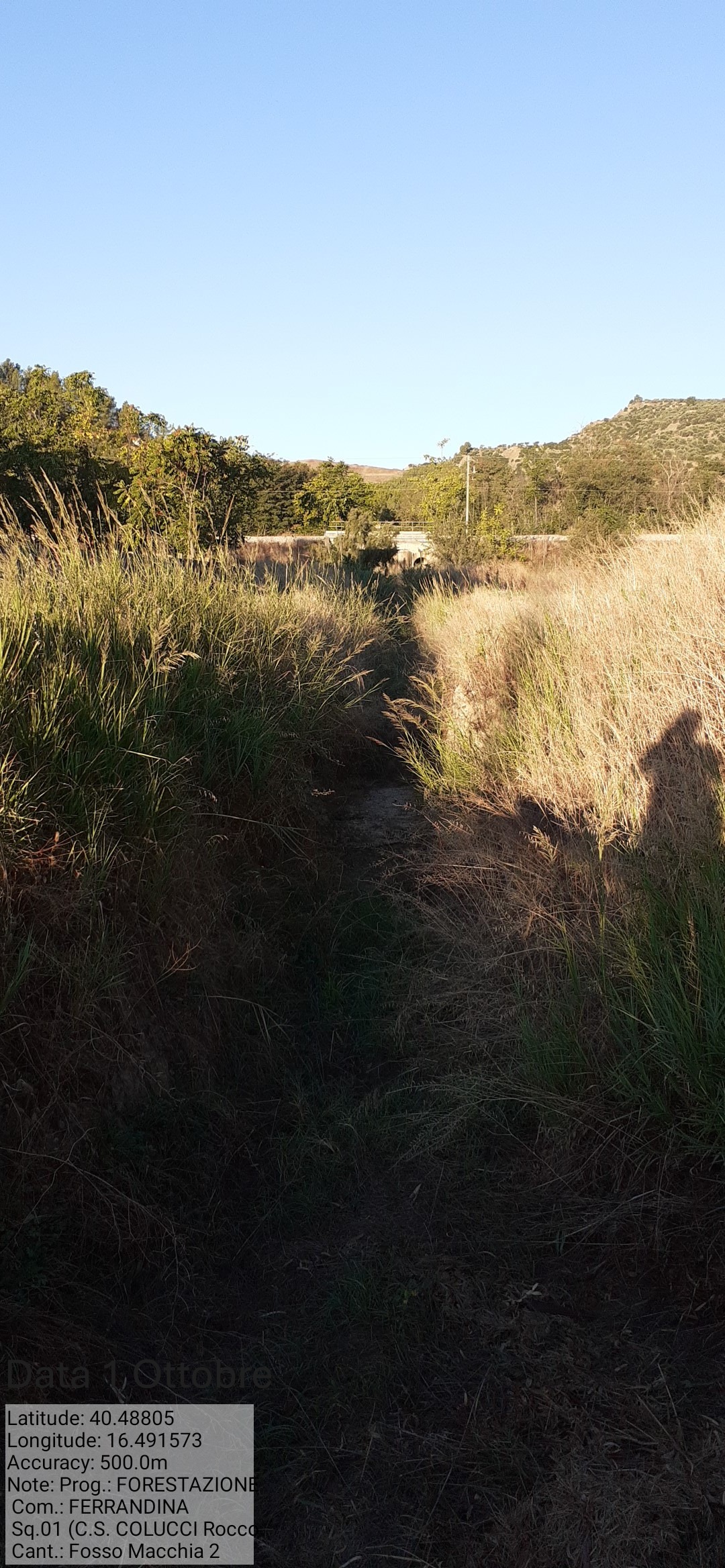 Galleria Fotografica Immagine