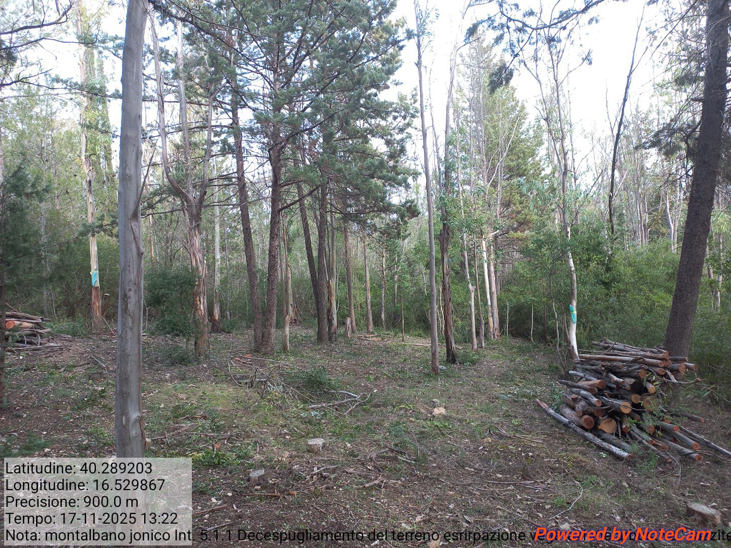 Galleria Fotografica Immagine