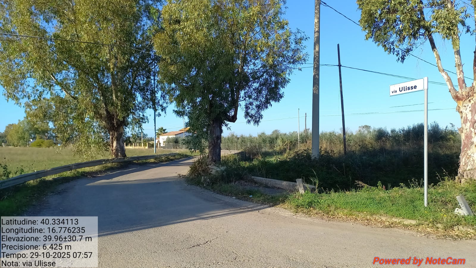 Galleria Fotografica Immagine