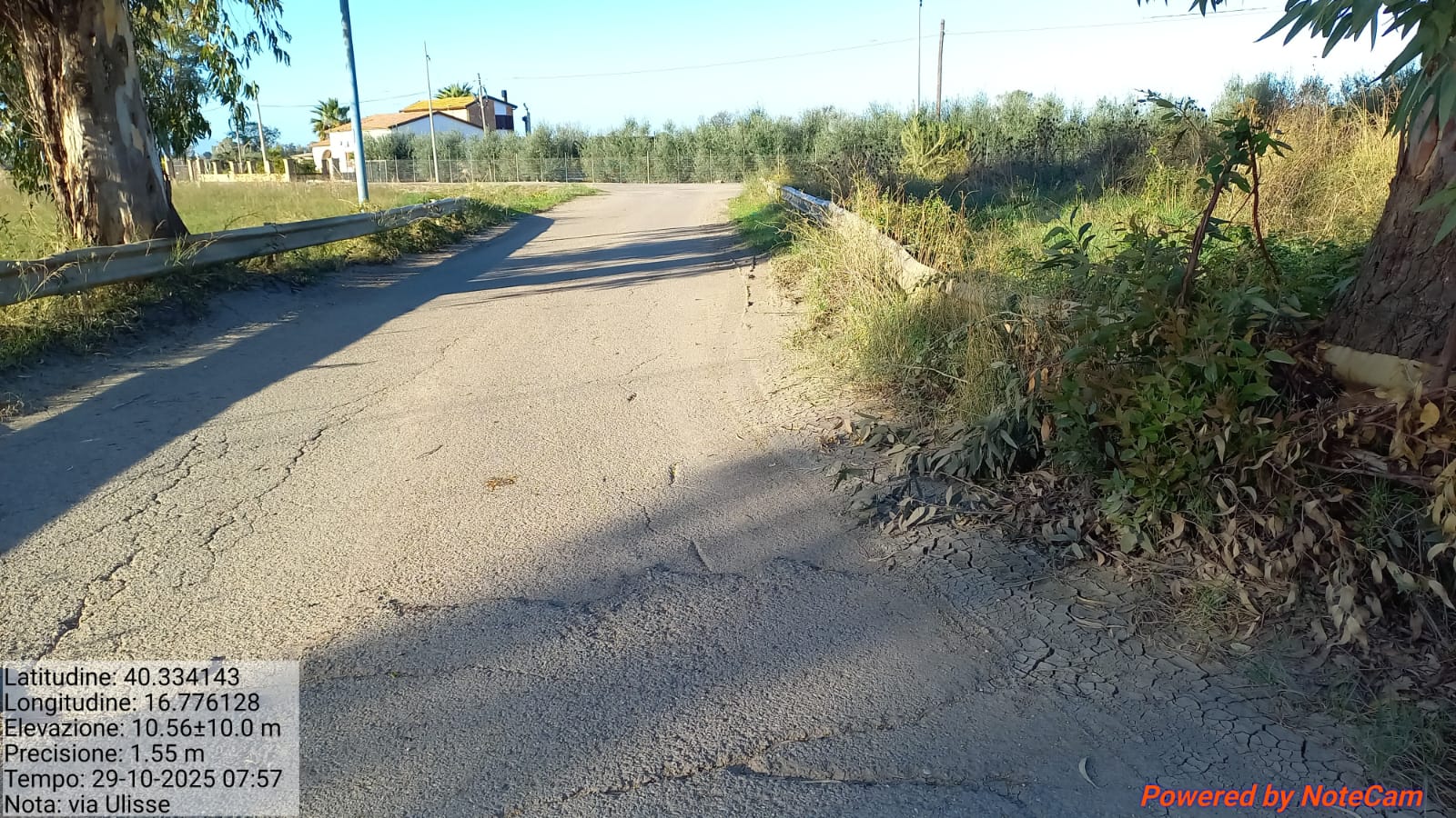 Galleria Fotografica Immagine