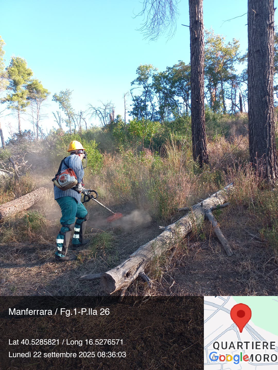 Galleria Fotografica Immagine