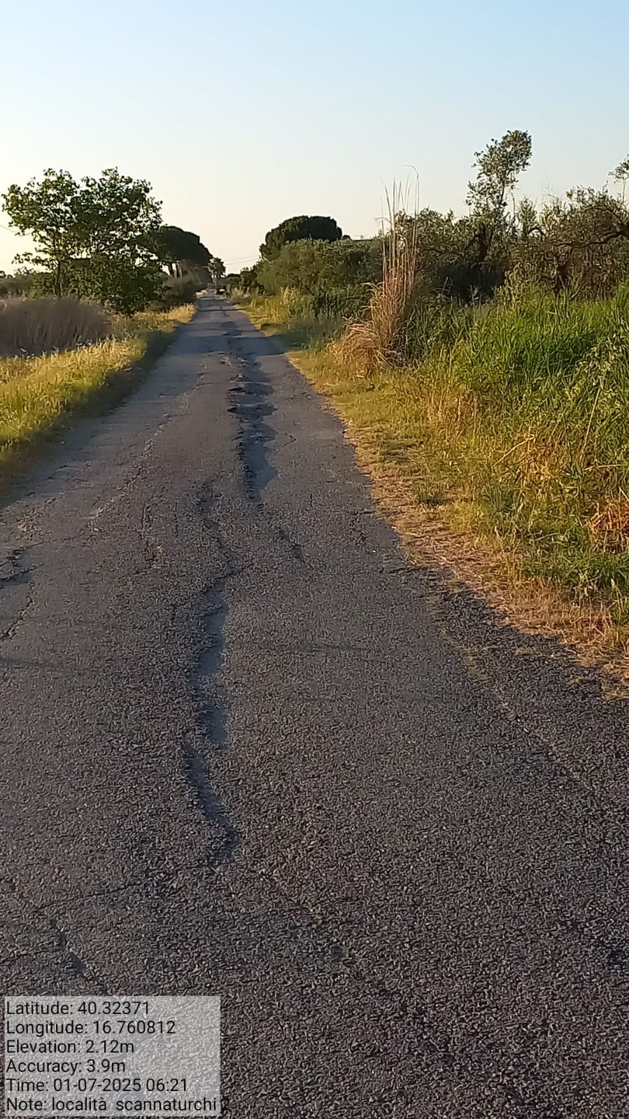 Galleria Fotografica Immagine