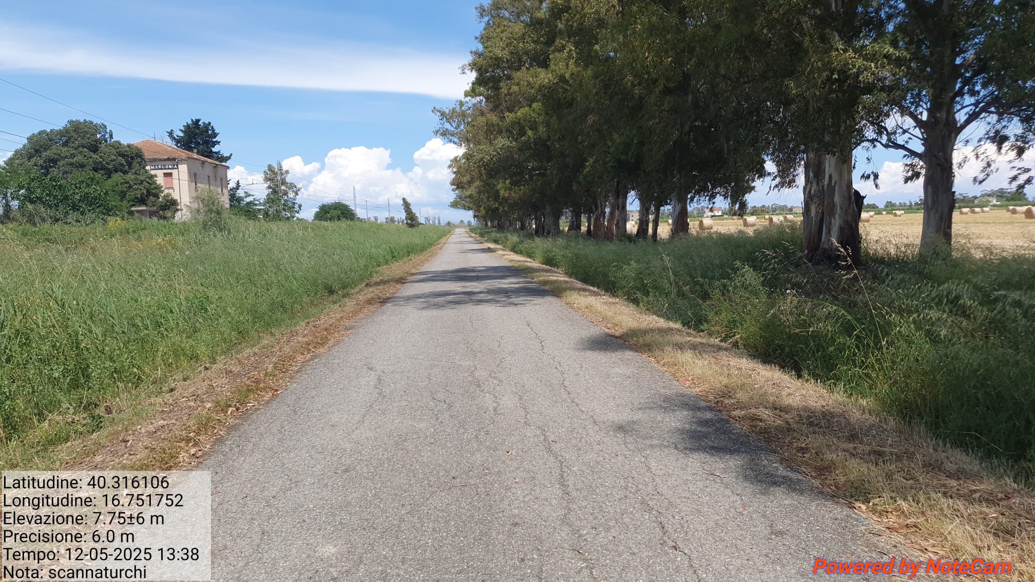 Galleria Fotografica Immagine