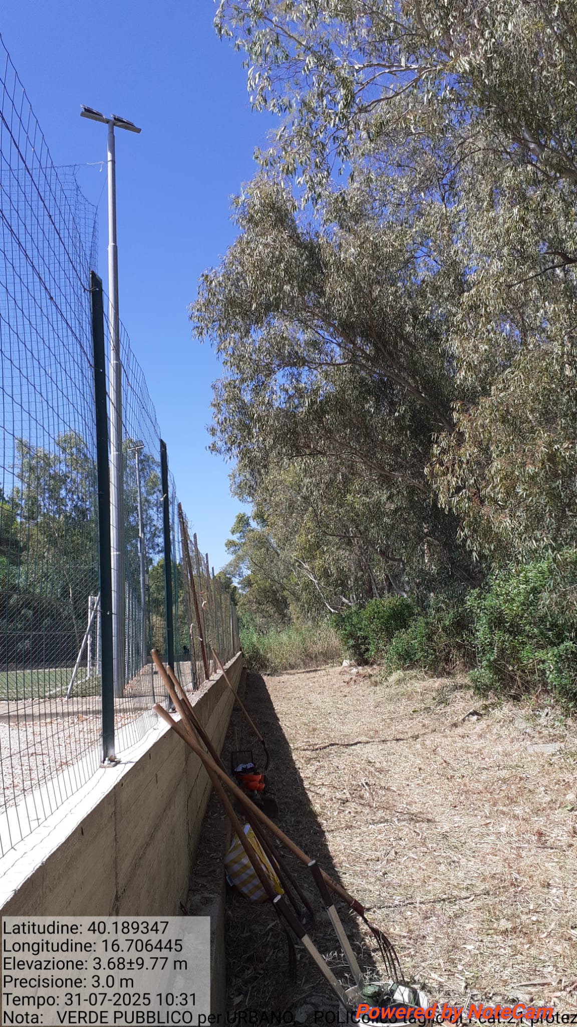 Galleria Fotografica Immagine