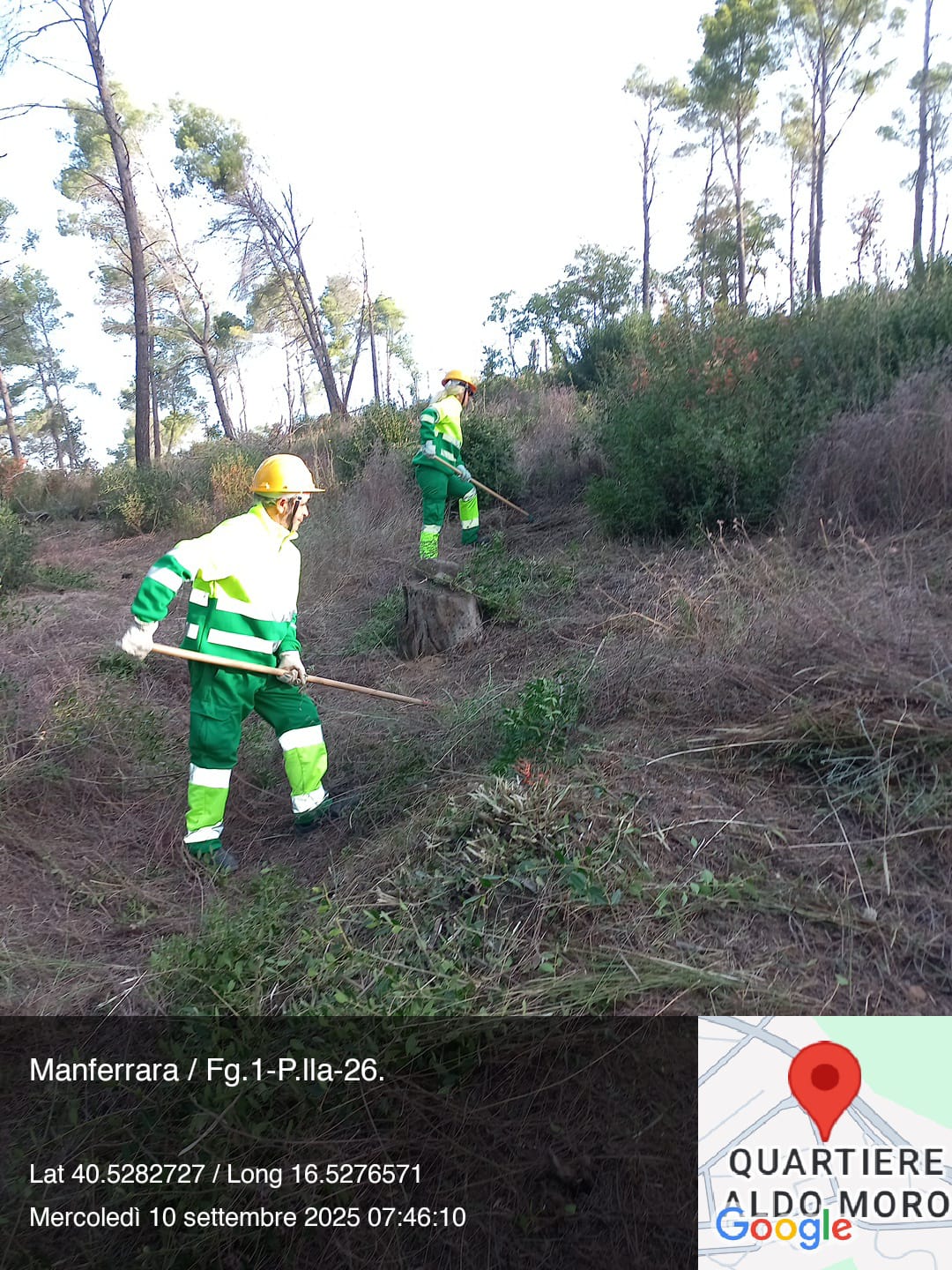 Galleria Fotografica Immagine