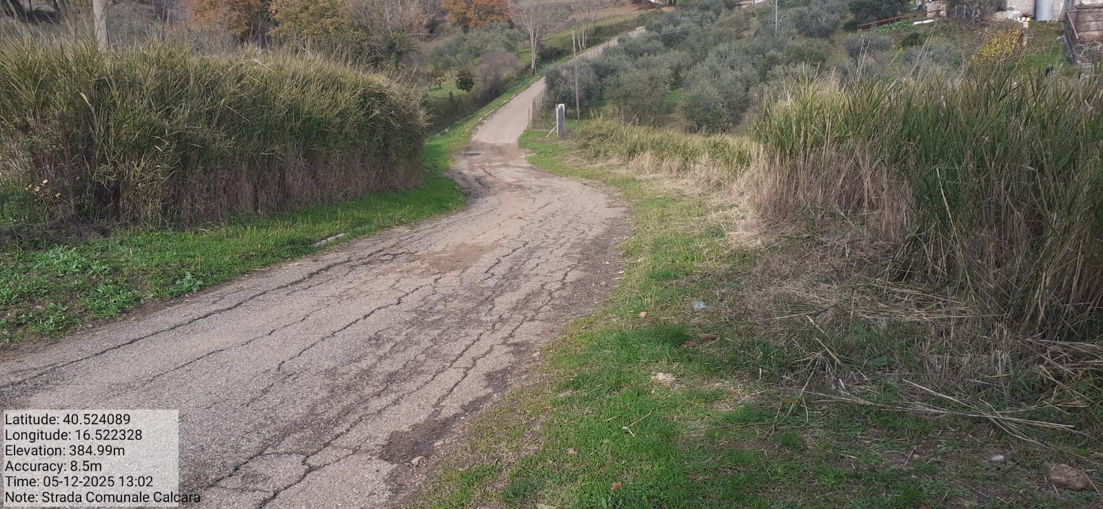 Galleria Fotografica Immagine