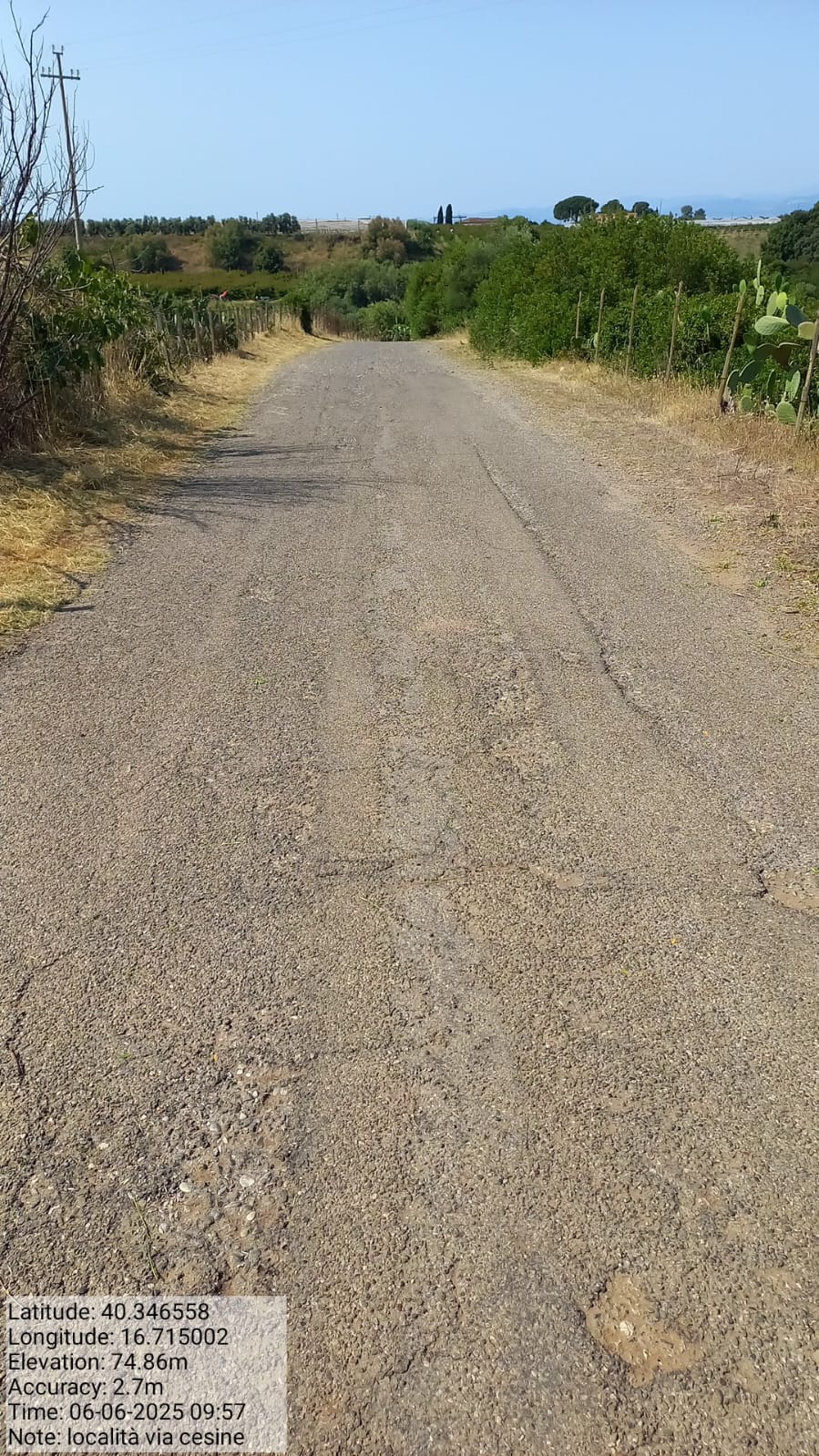 Galleria Fotografica Immagine