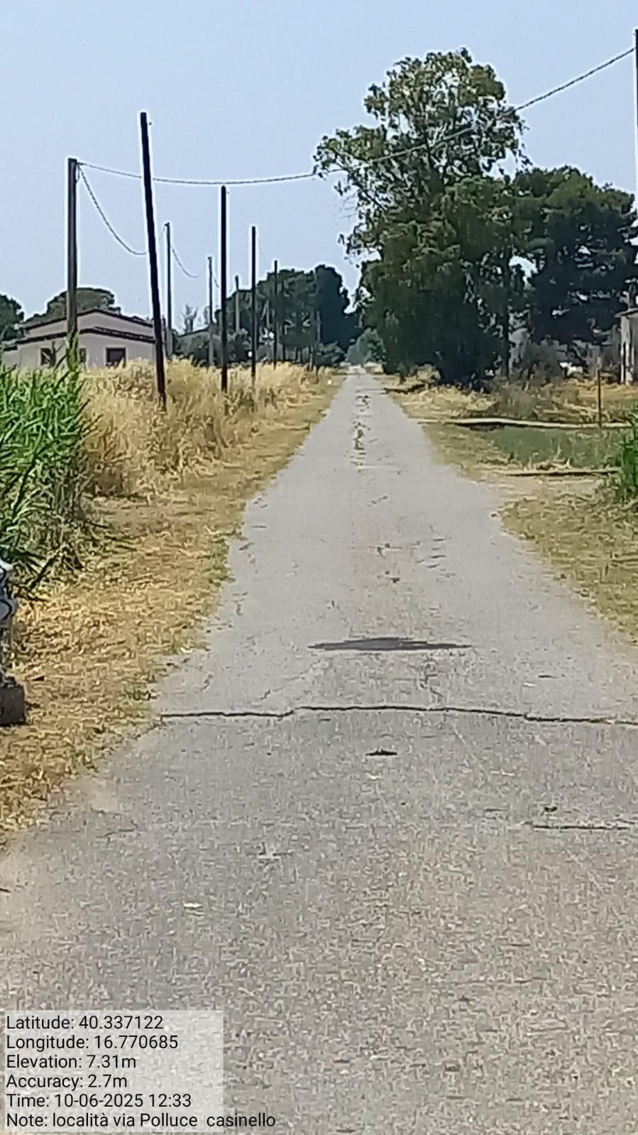 Galleria Fotografica Immagine