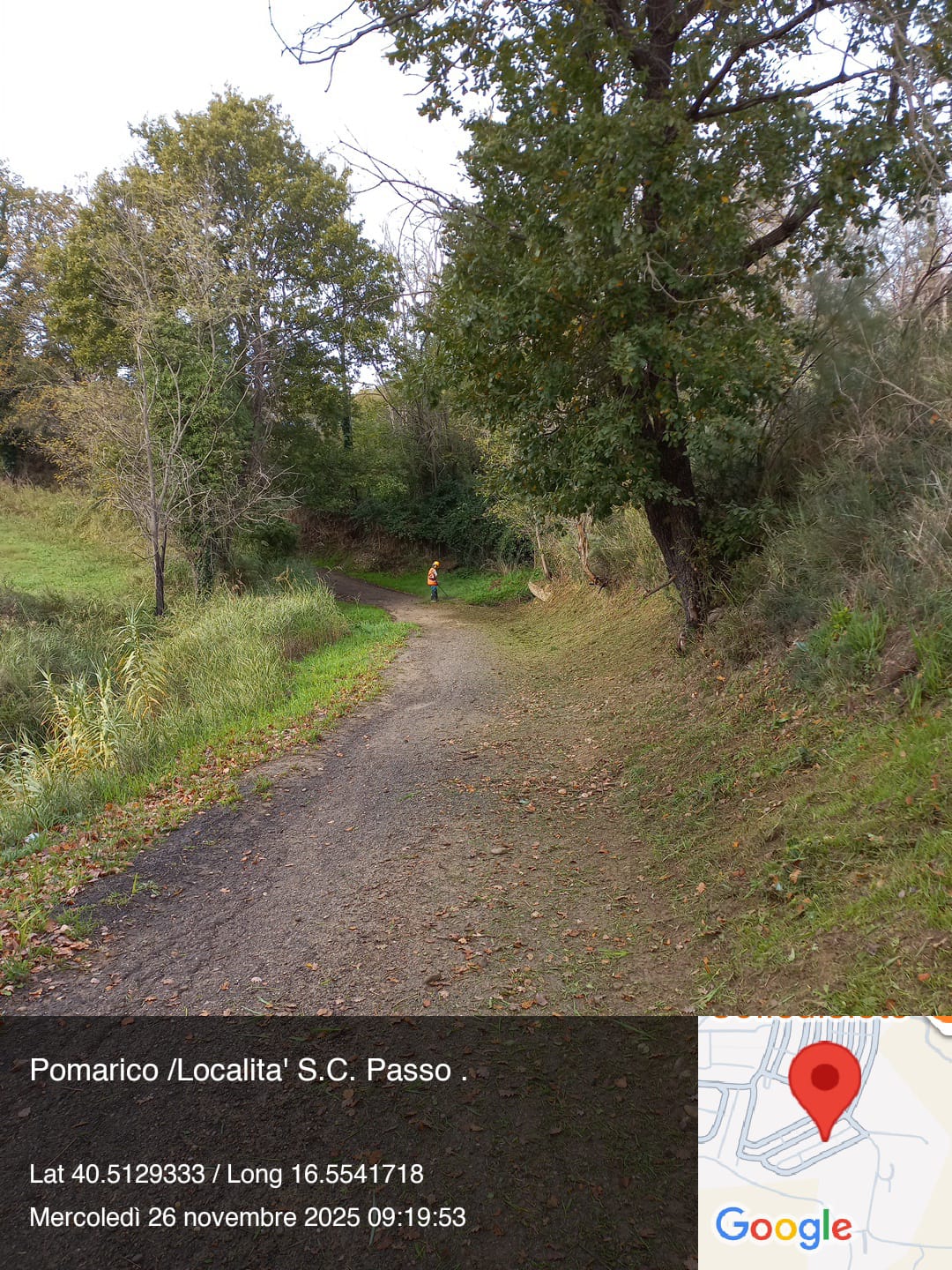 Galleria Fotografica Immagine