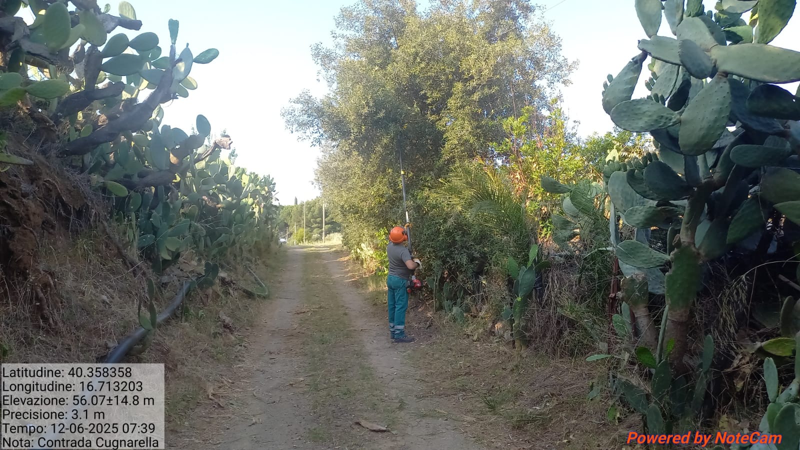 Galleria Fotografica Immagine