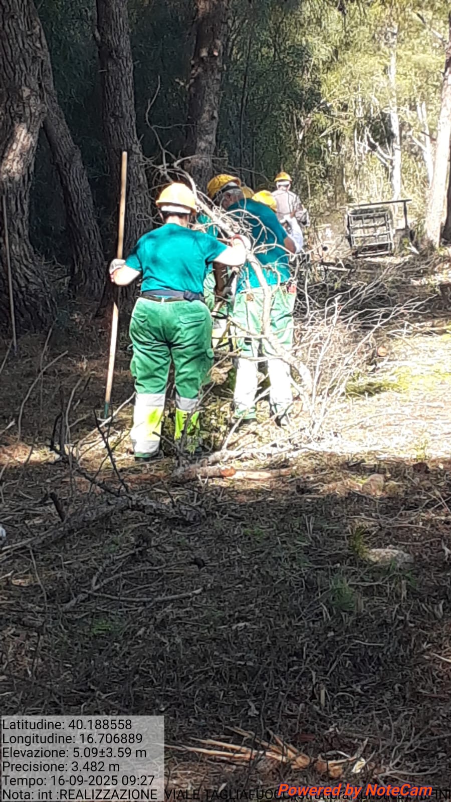 Galleria Fotografica Immagine