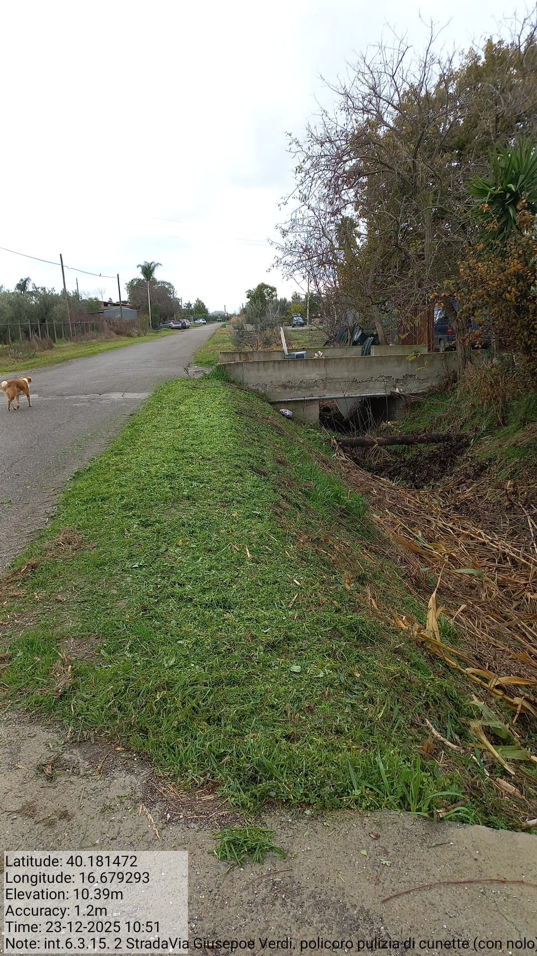 Galleria Fotografica Immagine