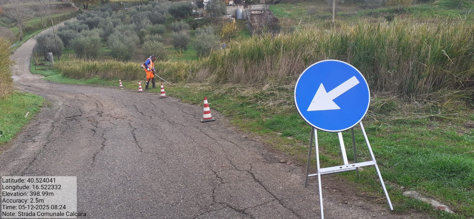 Galleria Fotografica Immagine