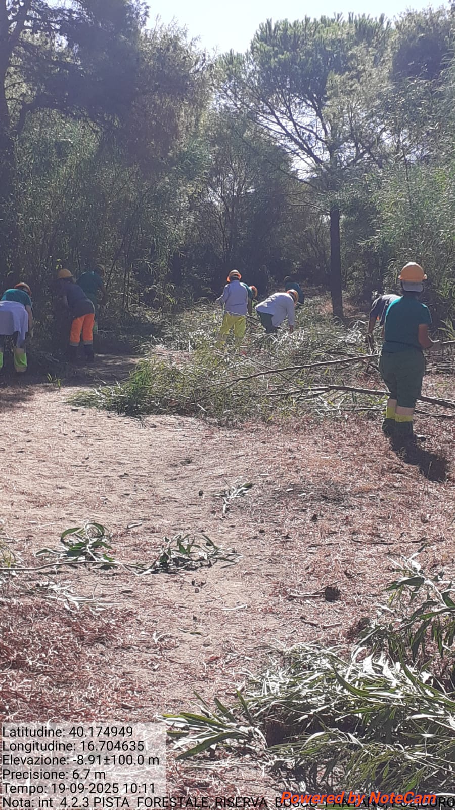 Galleria Fotografica Immagine