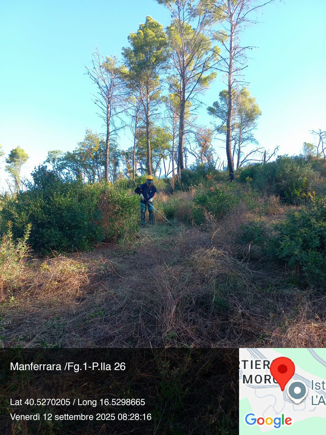 Galleria Fotografica Immagine