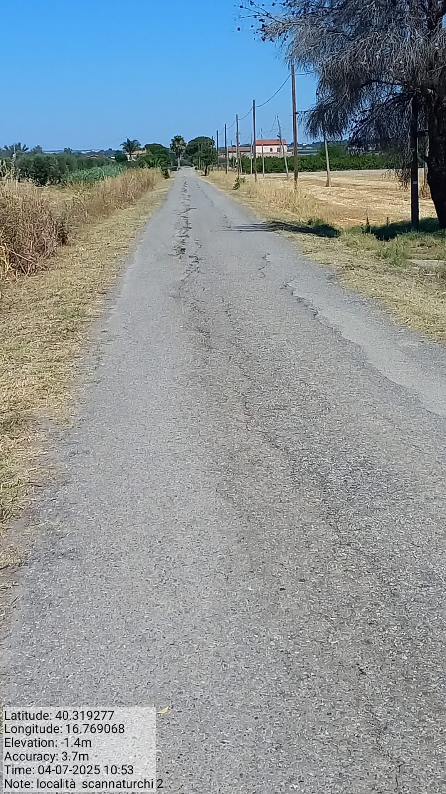 Galleria Fotografica Immagine