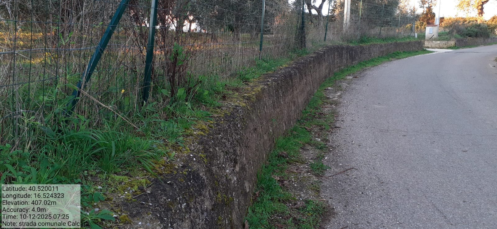 Galleria Fotografica Immagine