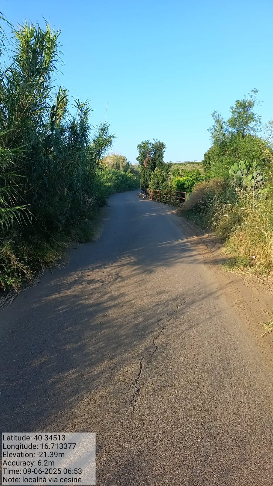 Galleria Fotografica Immagine