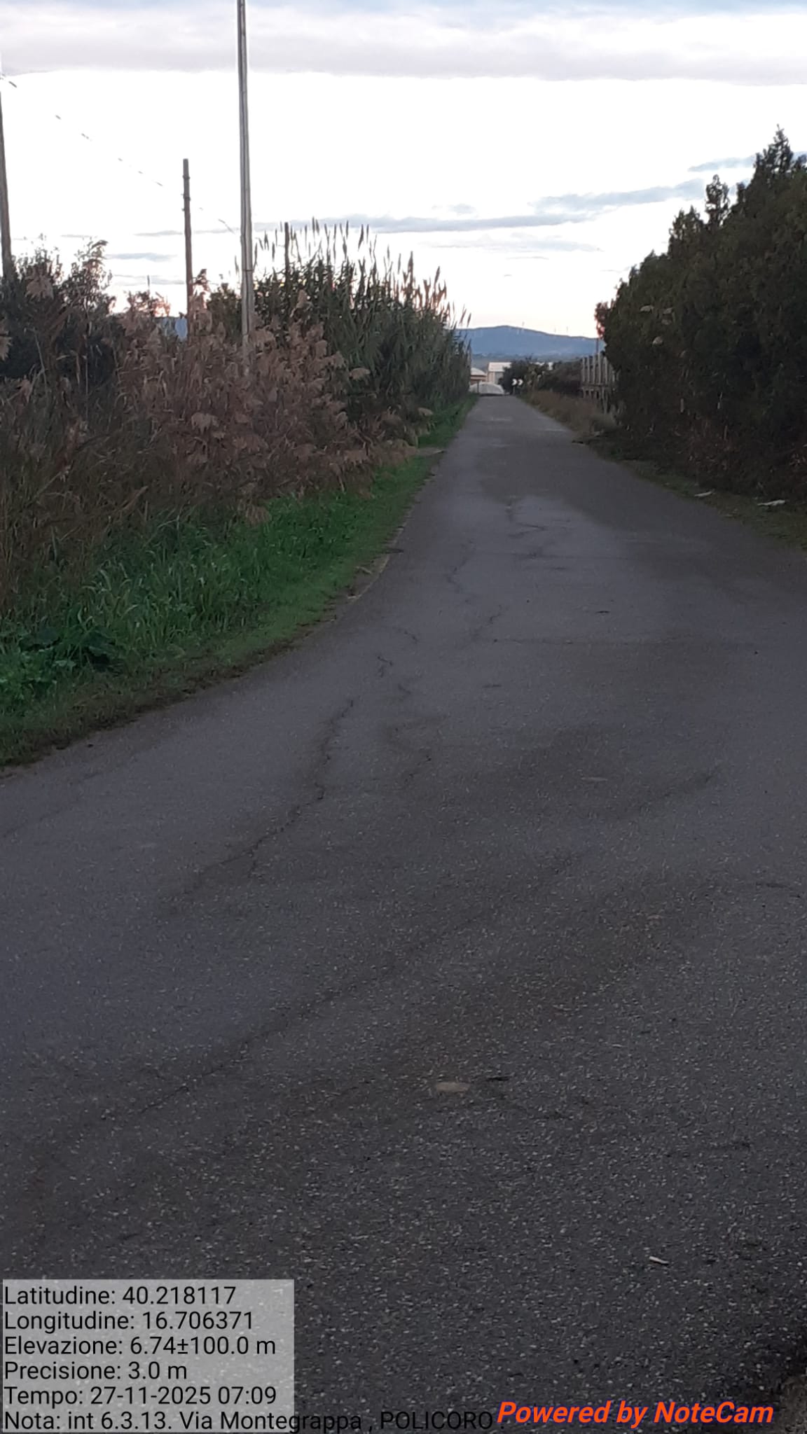 Galleria Fotografica Immagine