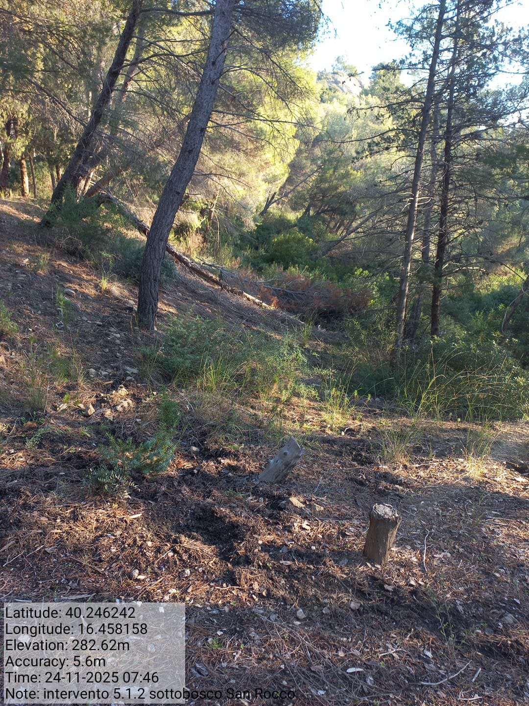 Galleria Fotografica Immagine