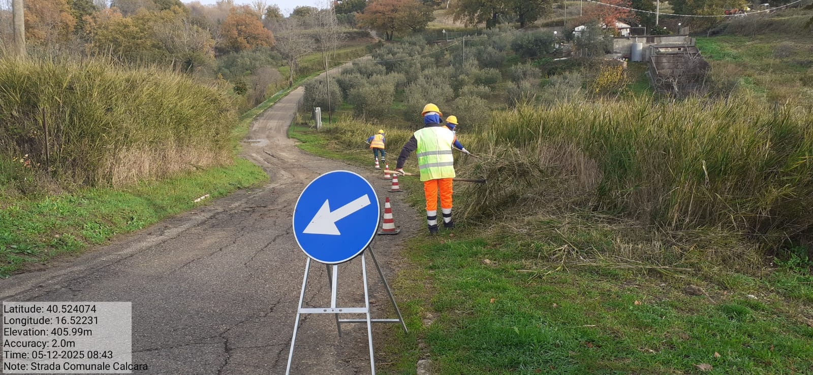 Galleria Fotografica Immagine