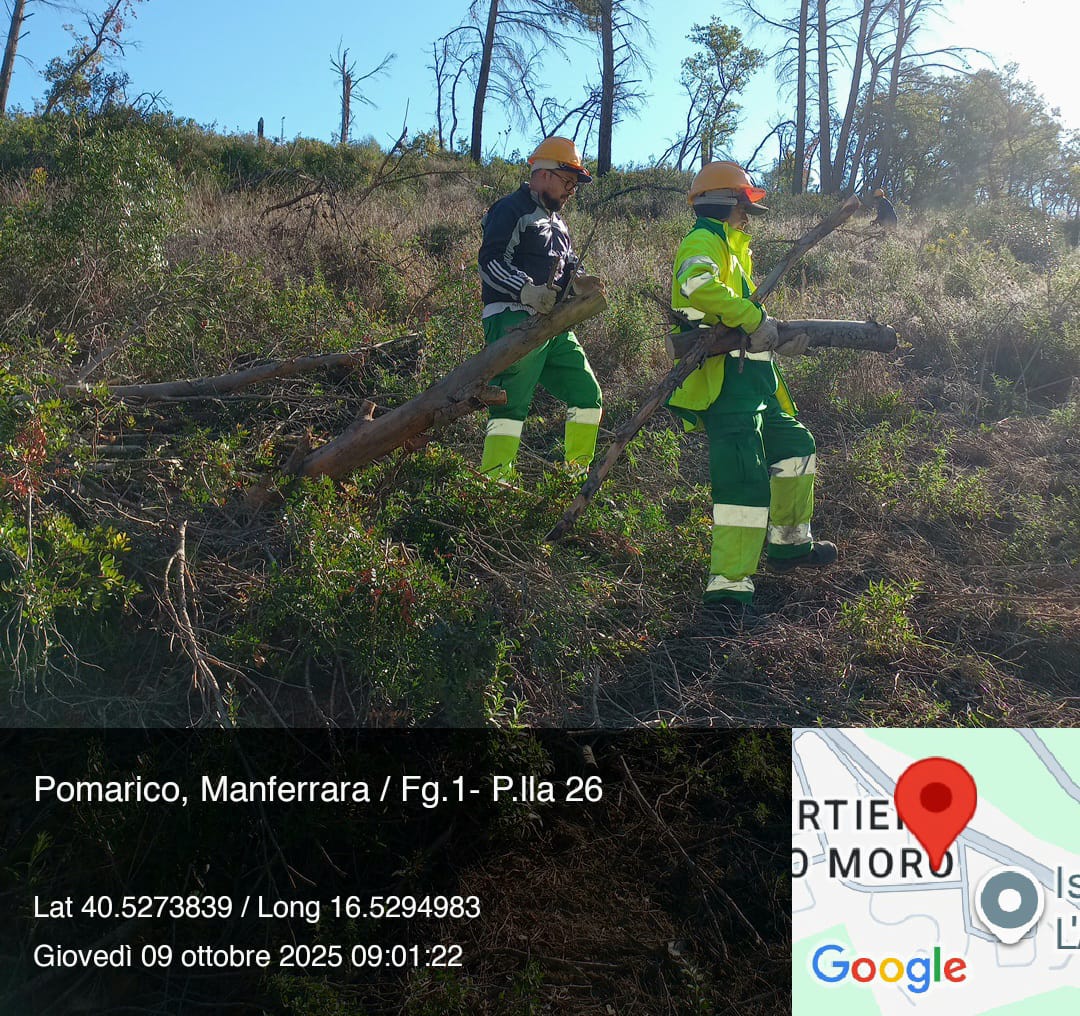 Galleria Fotografica Immagine