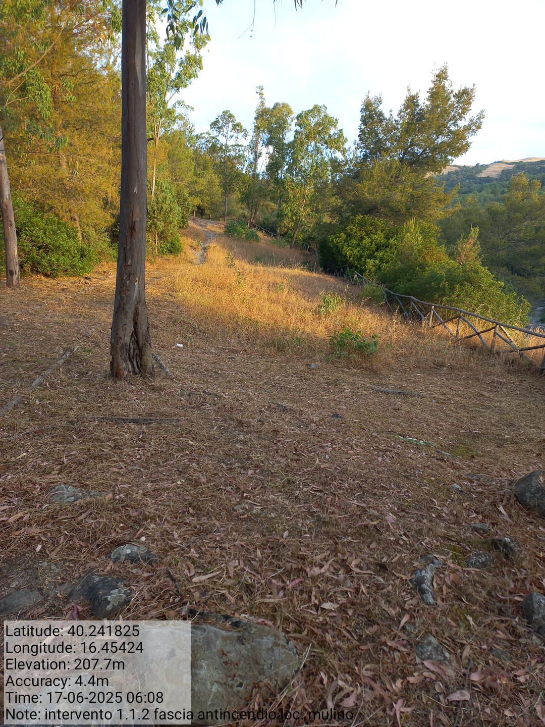 Galleria Fotografica Immagine