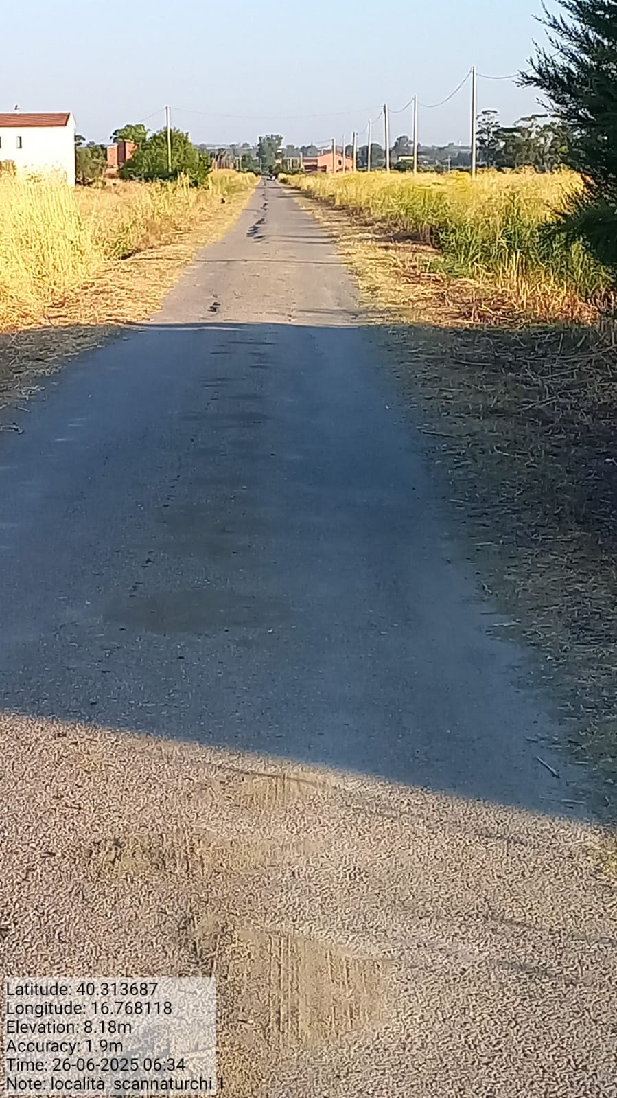 Galleria Fotografica Immagine