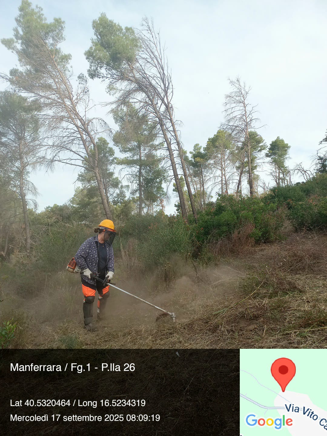 Galleria Fotografica Immagine