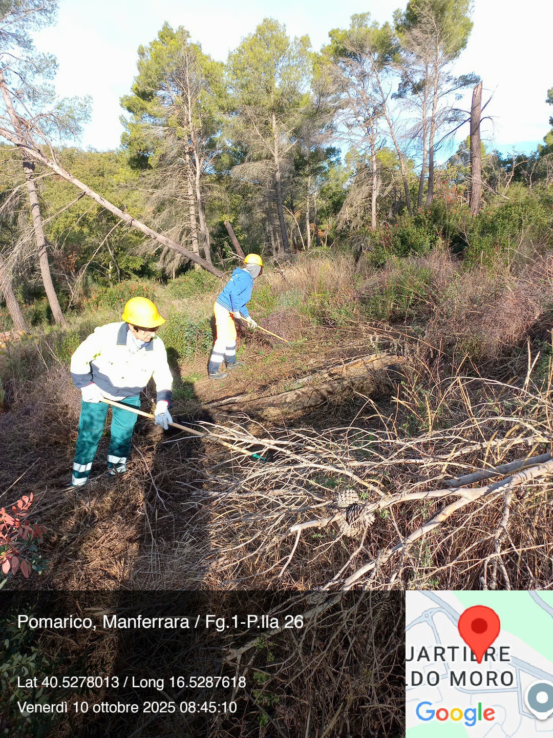 Galleria Fotografica Immagine